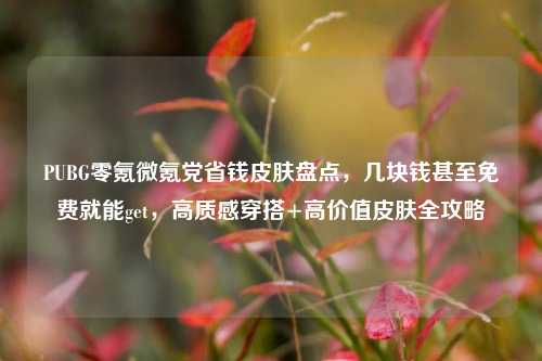 PUBG零氪微氪党省钱皮肤盘点,几块钱甚至免费就能get,高质感穿搭+高价值皮肤全攻略