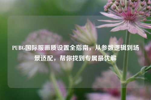PUBG国际服画质设置全指南，从参数逻辑到场景适配，帮你找到专属最优解