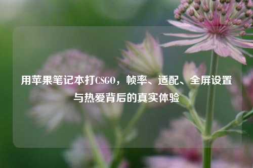用苹果笔记本打CSGO，帧率、适配、全屏设置与热爱背后的真实体验