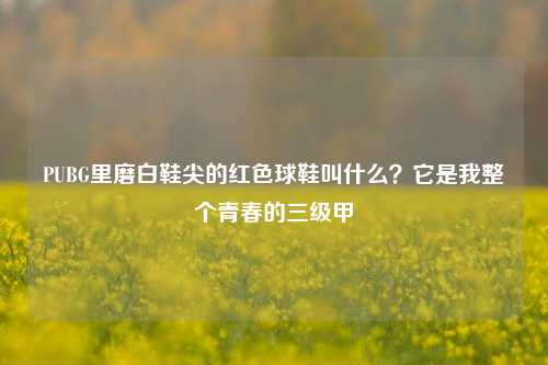 PUBG里磨白鞋尖的红色球鞋叫什么？它是我整个青春的三级甲