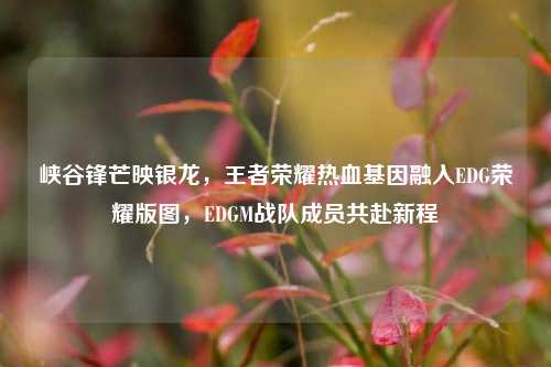 峡谷锋芒映银龙，王者荣耀热血基因融入EDG荣耀版图，EDGM战队成员共赴新程