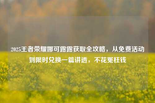 2025王者荣耀娜可露露获取全攻略，从免费活动到限时兑换一篇讲透，不花冤枉钱