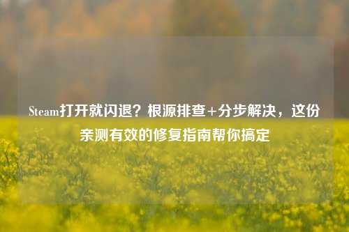 Steam打开就闪退?根源排查+分步解决,这份亲测有效的修复指南帮你搞定