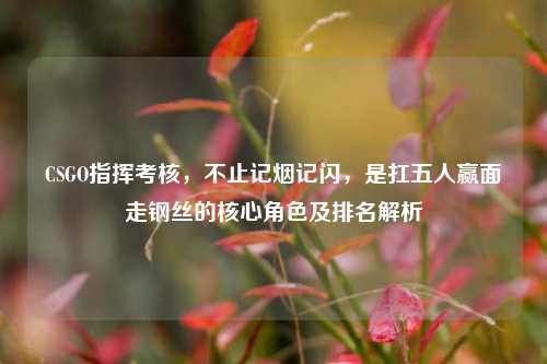 CSGO指挥考核，不止记烟记闪，是扛五人赢面走钢丝的核心角色及排名解析
