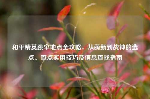 和平精英跳伞地点全攻略,从萌新到战神的选点、查点实用技巧及信息查找指南