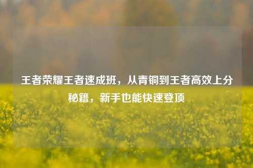 王者荣耀王者速成班,从青铜到王者高效上分秘籍,新手也能快速登顶