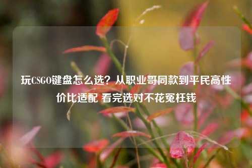 玩CSGO键盘怎么选？从职业哥同款到平民高性价比适配 看完选对不花冤枉钱