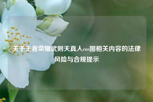 关于王者荣耀武则天真人cos图相关内容的法律风险与合规提示