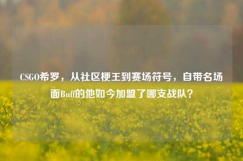 CSGO希罗，从社区梗王到赛场符号，自带名场面Buff的他如今加盟了哪支战队？
