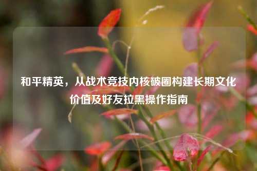 和平精英，从战术竞技内核破圈构建长期文化价值及好友拉黑操作指南