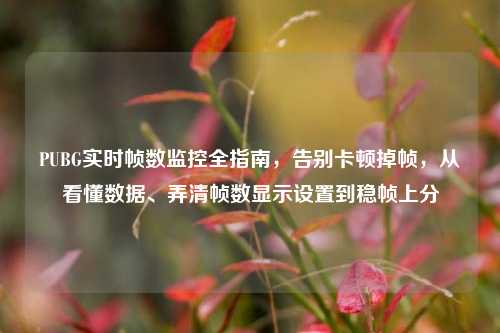 PUBG实时帧数监控全指南，告别卡顿掉帧，从看懂数据、弄清帧数显示设置到稳帧上分