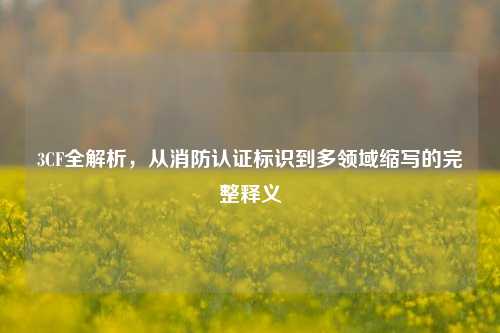 3CF全解析，从消防认证标识到多领域缩写的完整释义