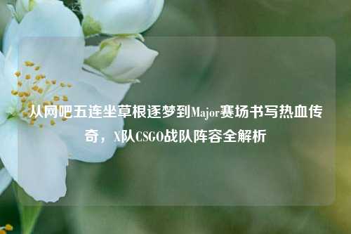 从网吧五连坐草根逐梦到Major赛场书写热血传奇，X队CSGO战队阵容全解析