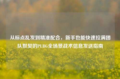 从标点乱发到精准配合，新手也能快速拉满团队默契的PUBG全场景战术信息发送指南