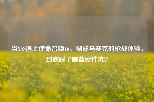 当XSS遇上使命召唤16，糊成马赛克的枪战体验，到底踩了哪些硬件坑？