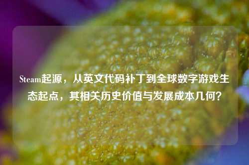 Steam起源，从英文代码补丁到全球数字游戏生态起点，其相关历史价值与发展成本几何？