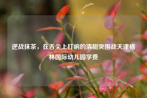 逆战抹茶，在舌尖上打响的清甜突围战天津格林国际幼儿园学费