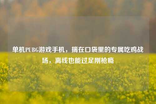单机PUBG游戏手机，揣在口袋里的专属吃鸡战场，离线也能过足刚枪瘾