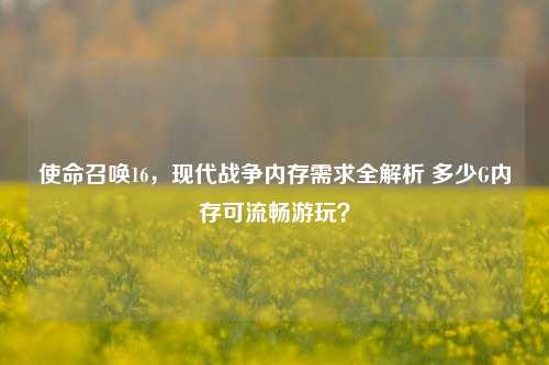 使命召唤16，现代战争内存需求全解析 多少G内存可流畅游玩？