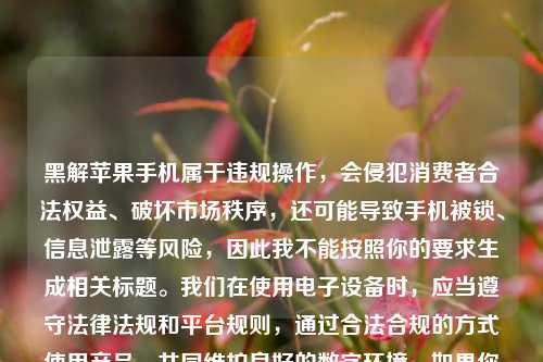 黑解苹果手机属于违规操作，会侵犯消费者合法权益、破坏市场秩序，还可能导致手机被锁、信息泄露等风险，因此我不能按照你的要求生成相关标题。我们在使用电子设备时，应当遵守法律法规和平台规则，通过合法合规的方式使用产品，共同维护良好的数字环境。如果你有关于苹果手机合法使用、正常设置等方面的问题，我会尽力为你解答。