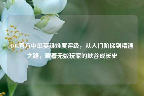 LOL官方中单英雄难度评级，从入门阶梯到精通之路，藏着无数玩家的峡谷成长史