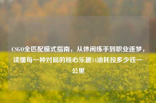CSGO全匹配模式指南，从休闲练手到职业逐梦，读懂每一种对局的核心乐趣14油耗投多少钱一公里