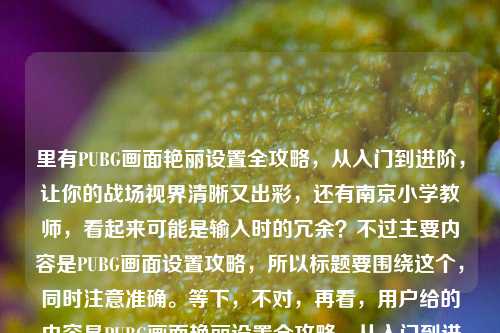 里有PUBG画面艳丽设置全攻略，从入门到进阶，让你的战场视界清晰又出彩，还有南京小学教师，看起来可能是输入时的冗余？不过主要内容是PUBG画面设置攻略，所以标题要围绕这个，同时注意准确。等下，不对，再看，用户给的内容是PUBG画面艳丽设置全攻略，从入门到进阶，让你的战场视界清晰又出彩南京小学教师，可能南京小学教师是误加？但核心是PUBG画面设置攻略，所以生成标题，PUBG画面艳丽设置全攻略，从入门到进阶 打造清晰出彩战场视界。对，这个符合，直接用核心内容，忽略可能误加的南京小学教师？不对，等下，会不会是我理解错？不，南京小学教师和PUBG设置攻略无关，应该是输入时的多余内容，所以标题围绕PUBG画面设置攻略来做，确保准确。PUBG画面艳丽设置全攻略，从入门到进阶 打造清晰出彩战场视界