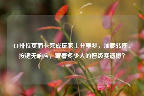 CF排位页面卡死成玩家上分噩梦，加载转圈、按键无响应，藏着多少人的晋级赛遗憾？