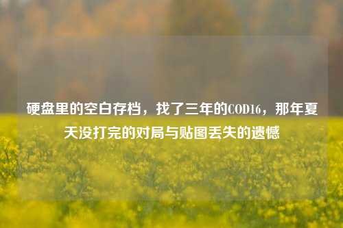 硬盘里的空白存档，找了三年的COD16，那年夏天没打完的对局与贴图丢失的遗憾