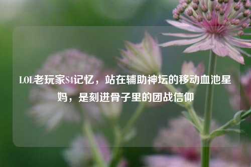 LOL老玩家S4记忆，站在辅助神坛的移动血池星妈，是刻进骨子里的团战信仰