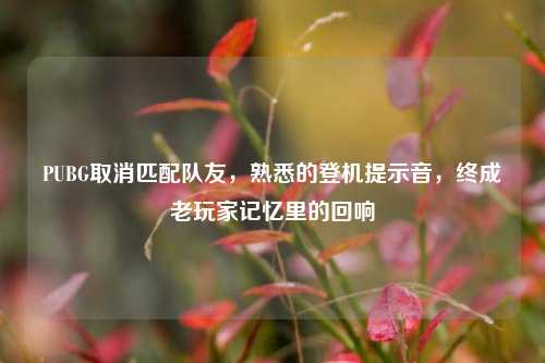 PUBG取消匹配队友，熟悉的登机提示音，终成老玩家记忆里的回响