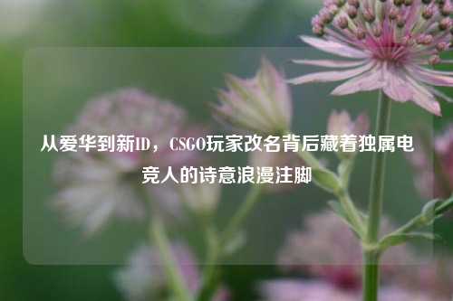 从爱华到新ID，CSGO玩家改名背后藏着独属电竞人的诗意浪漫注脚