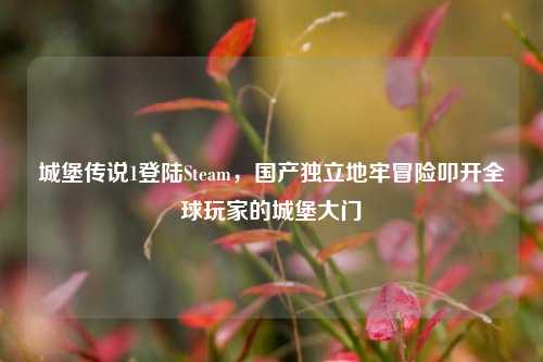 城堡传说1登陆Steam，国产独立地牢冒险叩开全球玩家的城堡大门