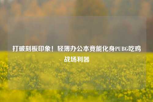打破刻板印象！轻薄办公本竟能化身PUBG吃鸡战场利器