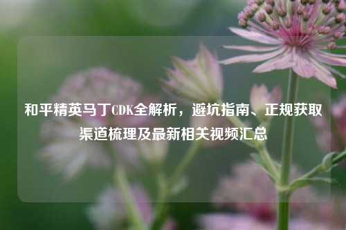 和平精英马丁CDK全解析，避坑指南、正规获取渠道梳理及最新相关视频汇总