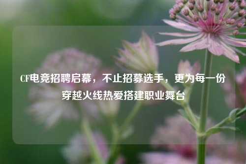CF电竞招聘启幕，不止招募选手，更为每一份穿越火线热爱搭建职业舞台
