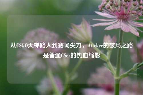 从CSGO天梯路人到赛场尖刀，Attcker的破局之路是普通CSer的热血缩影