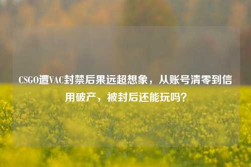 CSGO遭VAC封禁后果远超想象，从账号清零到信用破产，被封后还能玩吗？