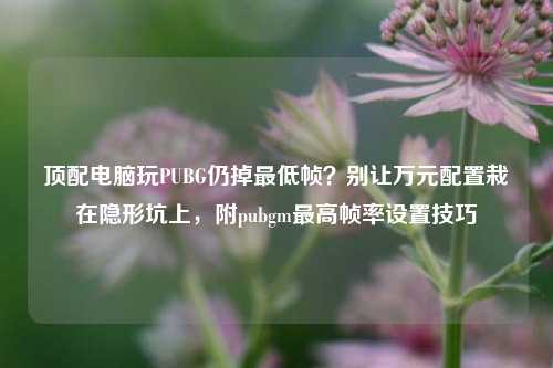 顶配电脑玩PUBG仍掉最低帧？别让万元配置栽在隐形坑上，附pubgm最高帧率设置技巧