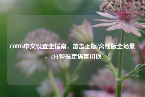 COD16中文设置全指南，覆盖正版/离线版全场景，3分钟搞定语言切换
