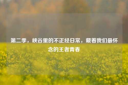 第二季，峡谷里的不正经日常，藏着我们最怀念的王者青春