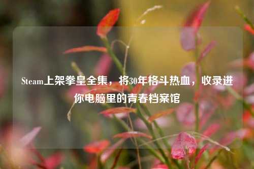 Steam上架拳皇全集，将30年格斗热血，收录进你电脑里的青春档案馆