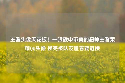 王者头像天花板！一眼戳中审美的超帅王者荣耀QQ头像 换完被队友追着要链接