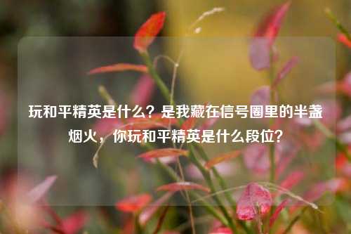 玩和平精英是什么？是我藏在信号圈里的半盏烟火，你玩和平精英是什么段位？