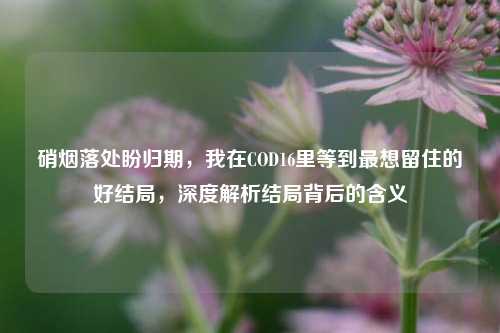 硝烟落处盼归期,我在COD16里等到最想留住的好结局,深度解析结局背后的含义