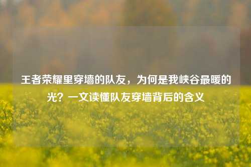 王者荣耀里穿墙的队友,为何是我峡谷最暖的光?一文读懂队友穿墙背后的含义