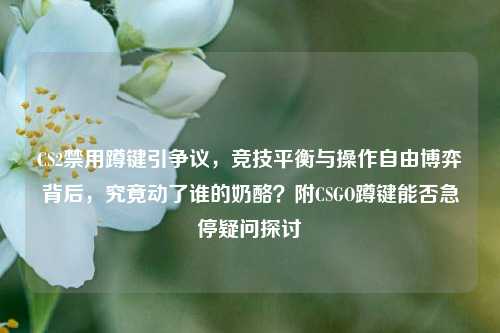 CS2禁用蹲键引争议，竞技平衡与操作自由博弈背后，究竟动了谁的奶酪？附CSGO蹲键能否急停疑问探讨