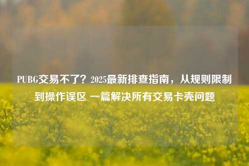 PUBG交易不了？2025最新排查指南，从规则限制到操作误区 一篇解决所有交易卡壳问题