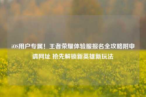 iOS用户专属！王者荣耀体验服报名全攻略附申请网址 抢先解锁新英雄新玩法