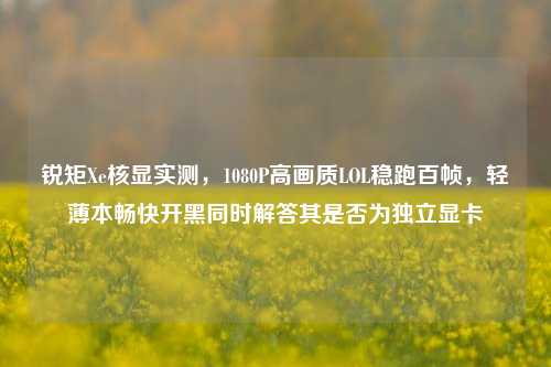锐矩Xe核显实测，1080P高画质LOL稳跑百帧，轻薄本畅快开黑同时解答其是否为独立显卡
